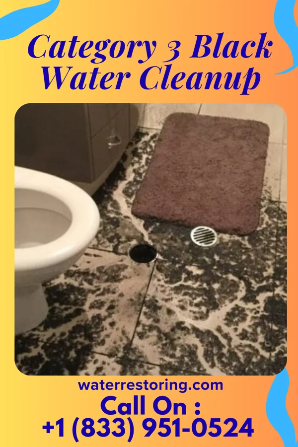 Category 3 Black Water Cleanup in Pleasant Hills, OH