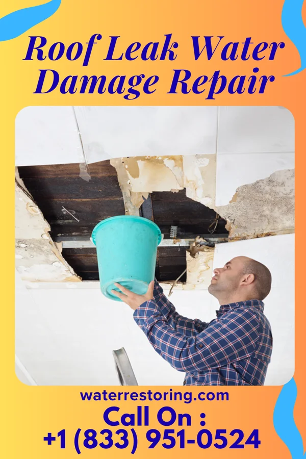 Roof Leak Water Damage Repair in Pleasant Hills, OH