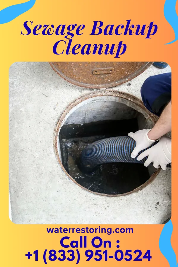 Sewage Backup Cleanup in Pleasant Hills, OH