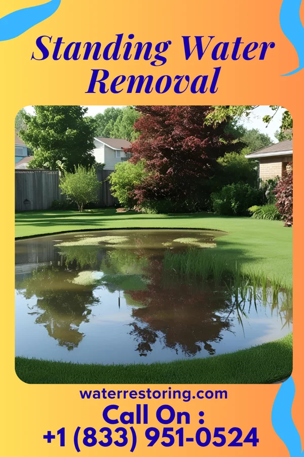 Standing Water Removal in Pleasant Hills, OH